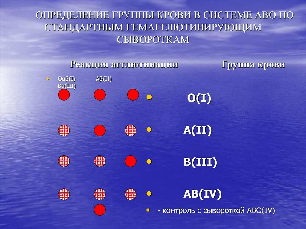 Результаты определения группы крови. Определение группы крови методом стандартных сывороток. Агглютинация 2 группы крови. Агглютинация 1 и 3 группы крови произошла с сывороткой. Методы определения групп крови антигенной системы АВО.