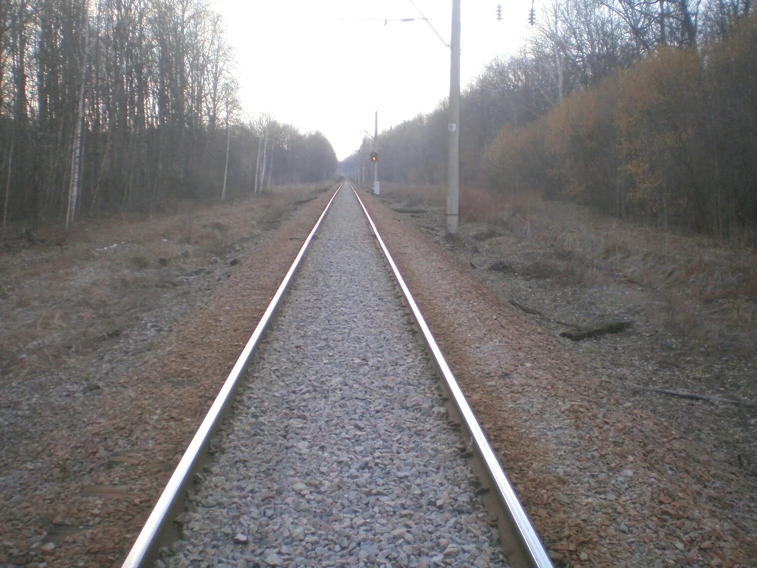 Графская Рамонь. ЖД станция Рамонь. Графская дорога.