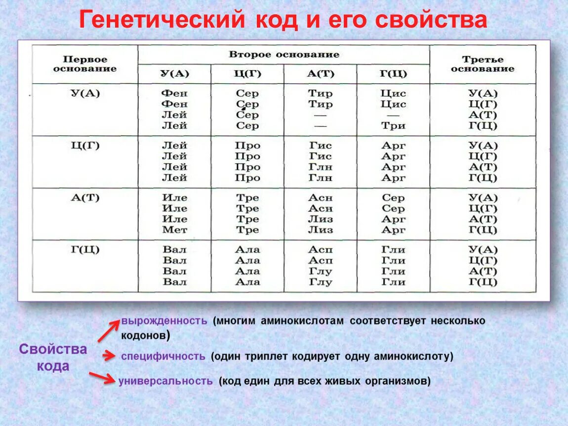 Белковый код. Свойства генетического кода таблица. Биосинтез белка таблица генетического кода. Свойства генетического кода биология таблица. Биосинтез белка генетический код и его свойства.