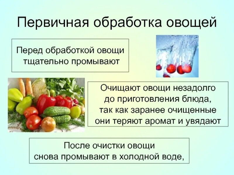 Инструкция по обработке овощей и фруктов по санпину в детском саду. Гигиенические требования к кулинарной обработке пищевых продуктов. Санитарная обработка овощей. Обработка зелени по санпин в общепите инструкция. Первичная обработка овощей обработка овощей.