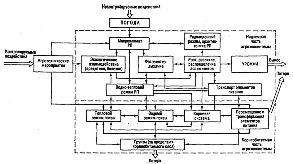 Функционирование в окружающей среде