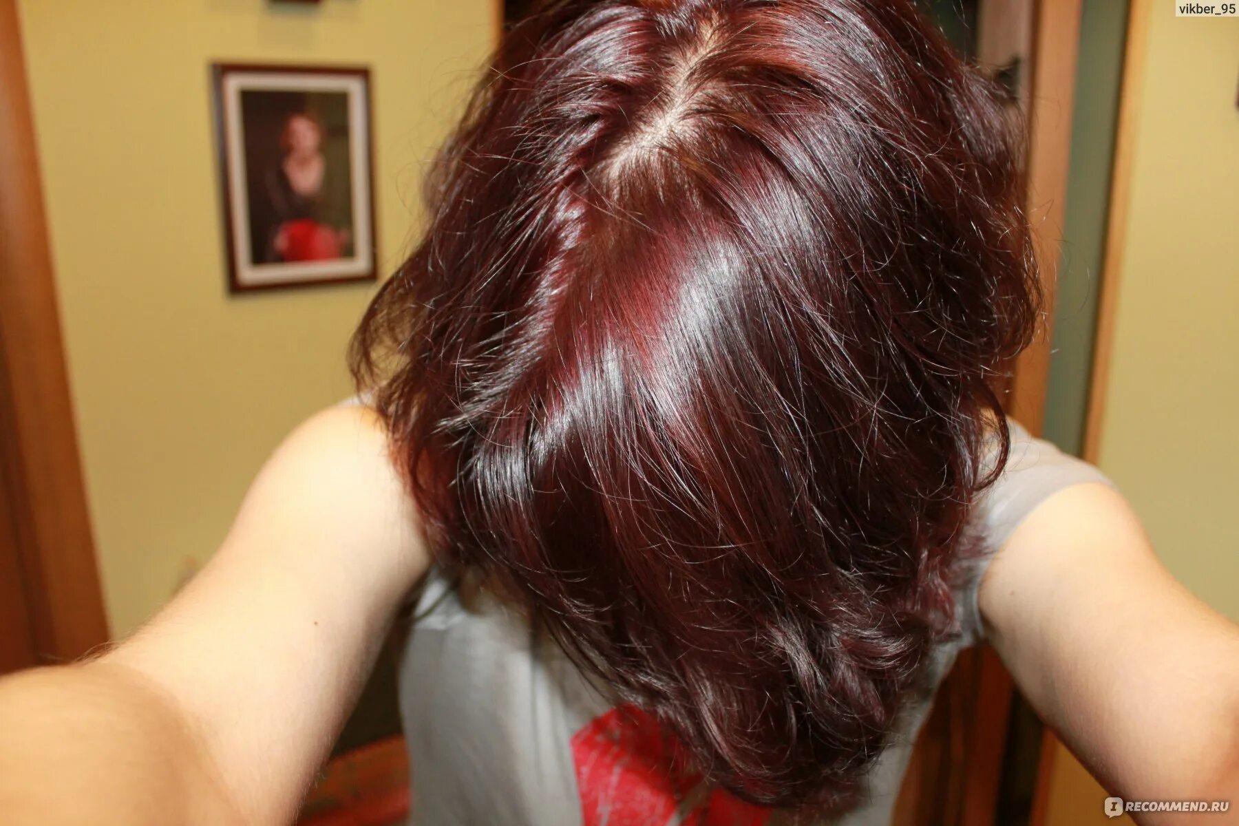 Loreal Casting Cream Gloss 360 Black Cherry Transfashions Blog Hair color for bl