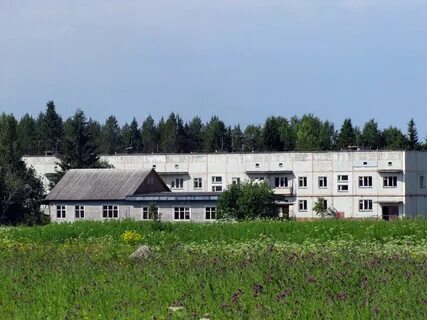 Поселок светлый архангельская область