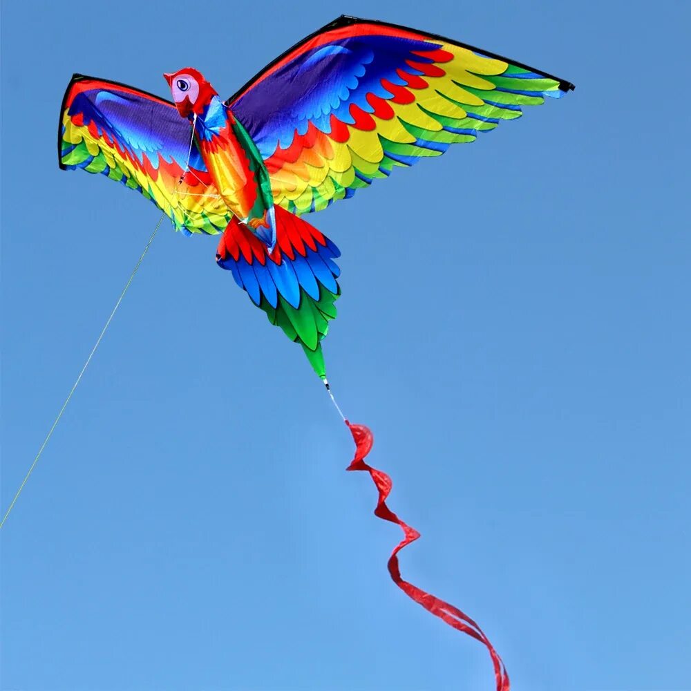 Про воздушных змеев. Воздушный змей попугай 150см. Воздушный змей "3d самолет". Летучий змей. Красивый воздушный змей.