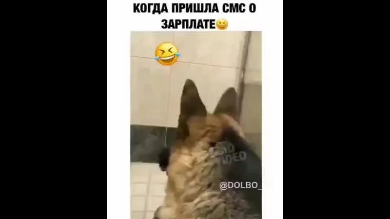 Не пришла зарплата военнослужащему за сентябрь. Не пришла зарплата военнослужащему за сентябрь. Пришла зарплата сис. Не пришла зарплата военнослужащему за сентябрь. Не пришла зарплата военнослужащему за сентябрь.