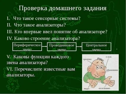 Контрастная чувствительность это функция анализатора