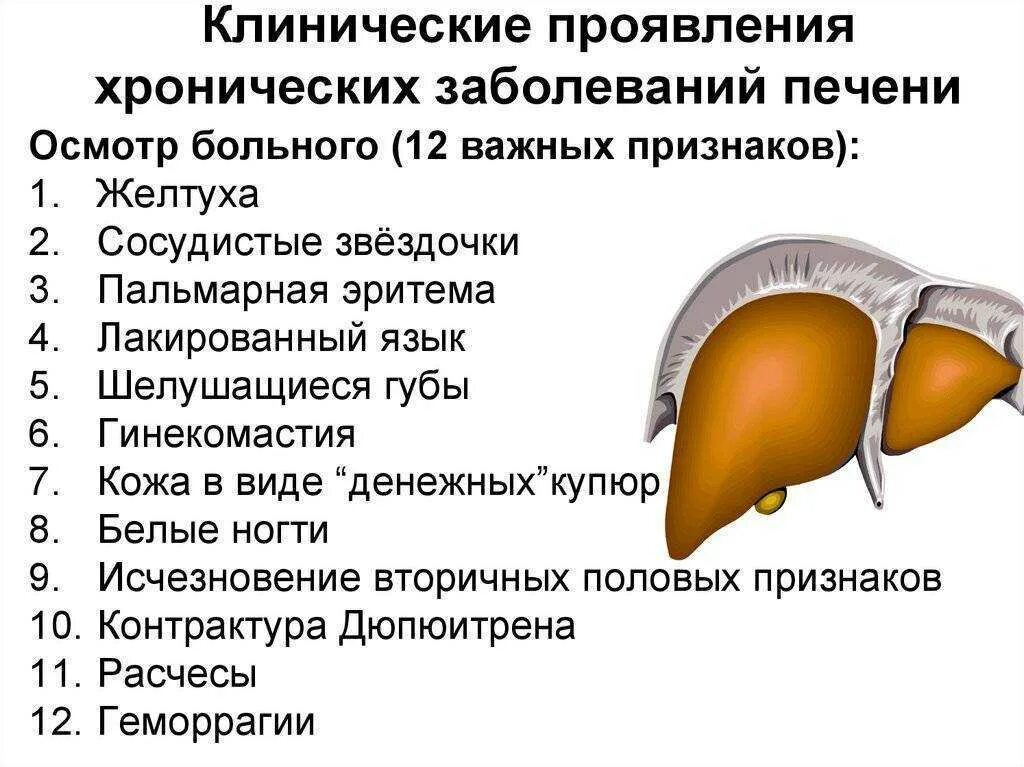 Характерные признаки печени. Симптомы болезни печени. Причины заболевания печени. Патология печени симптомы.