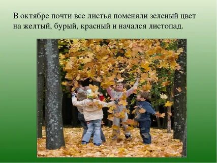 Как меняются листья осенью