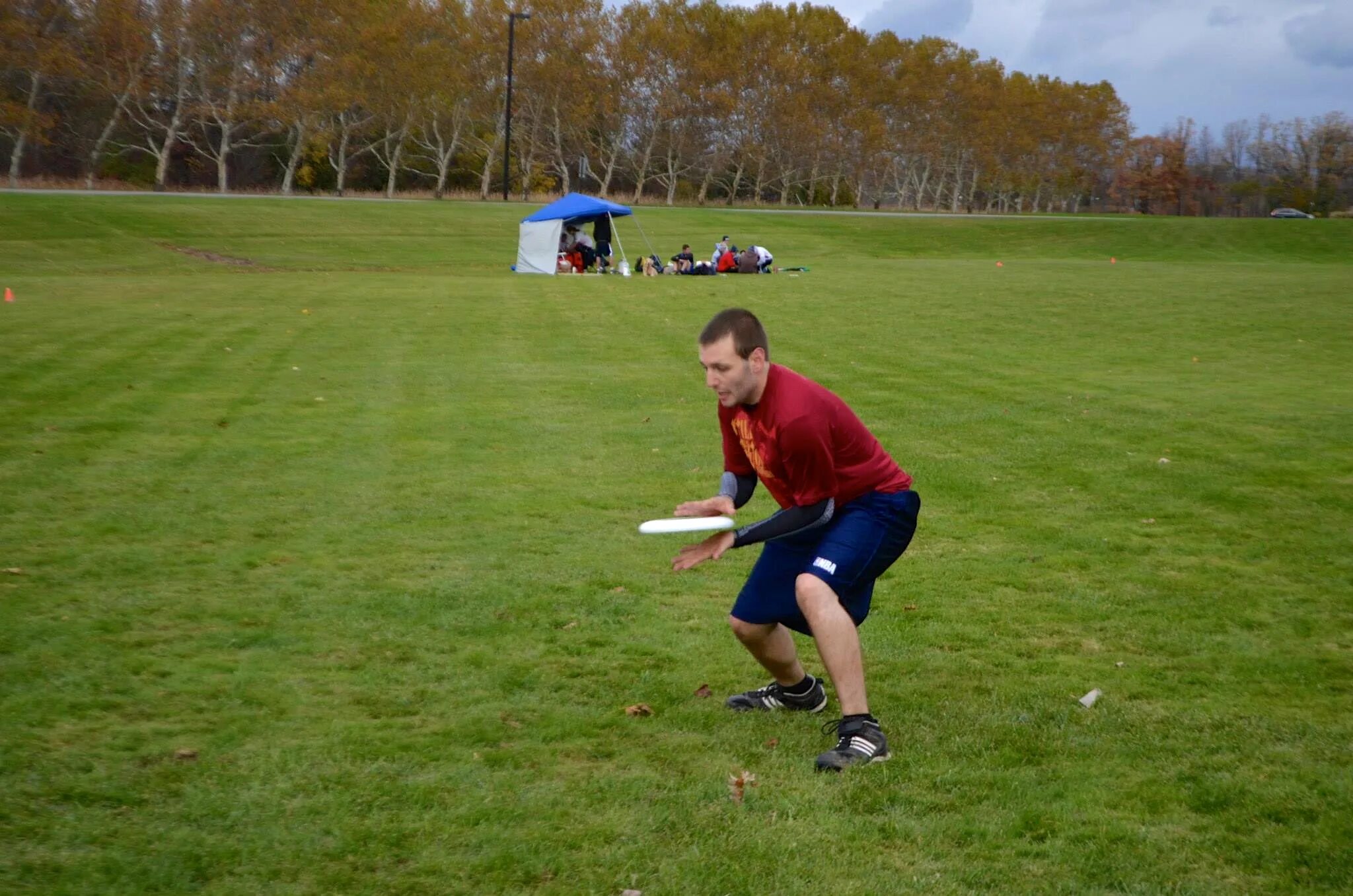 Frisbee simulator