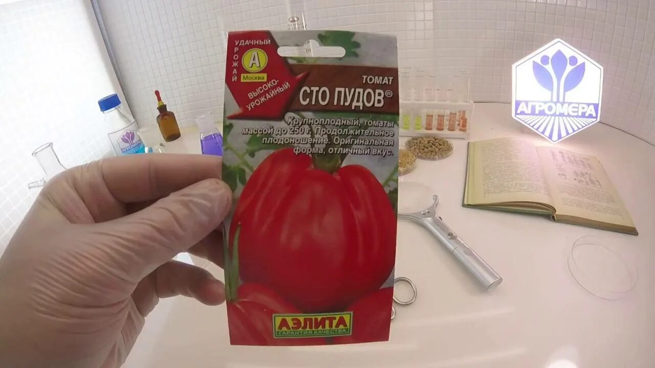 Сто сортов томатов. Семена томат пузата хата. томат сто пудов и пузата хата. сорт помидор пузата хата.