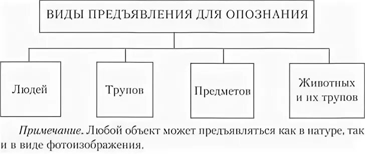 Виды опознания