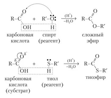 Этанол и уксусная кислота реагент