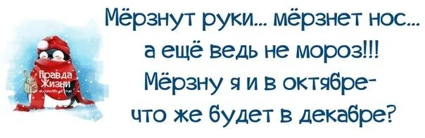 Всегда холодные руки. Мерзнут руки мерзнет нос. Мёрзнут руки мерзнет нос стих. Картинка мерзнут руки мерзнет нос.