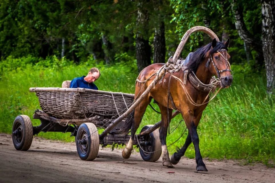 Поговорка баба с возу. Лошадь запряженная в телегу. Телега с лошадью. Сено на мотоцикле. Конь с телегой.