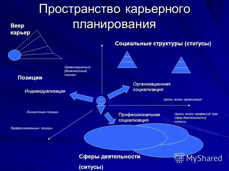 Жизненный цикл. Стадии жизненного цикла человека. Классификация профессий. Жизненный цикл какой либо профессии. Жизненный цикл какой либо профессии.