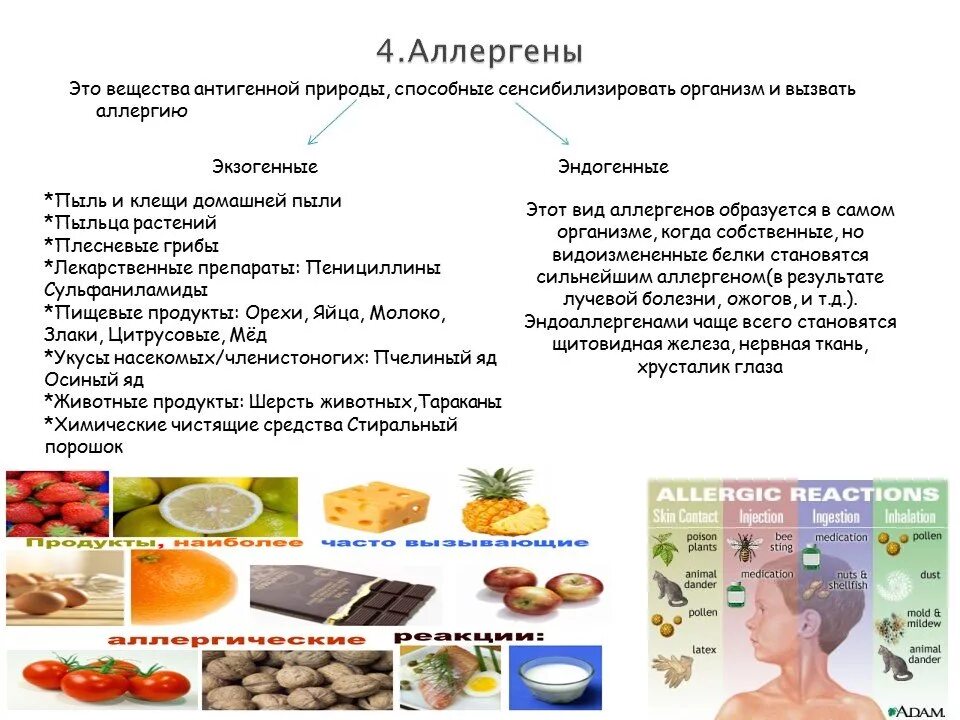 Аллергены. Пищевые аллергены классификация. Природные аллергены. Экзогенные аллергены. Значения аллергенов