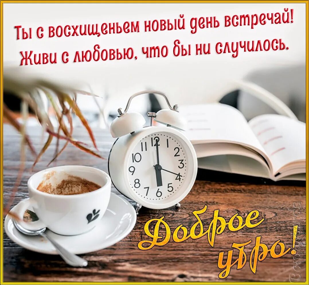 Доброе утро понедельника пост. Открытки с добрым утром понедельника. Открытки с добрым понедельником. Сдобрым утро понедельника. Стильные открытки с понедельником.