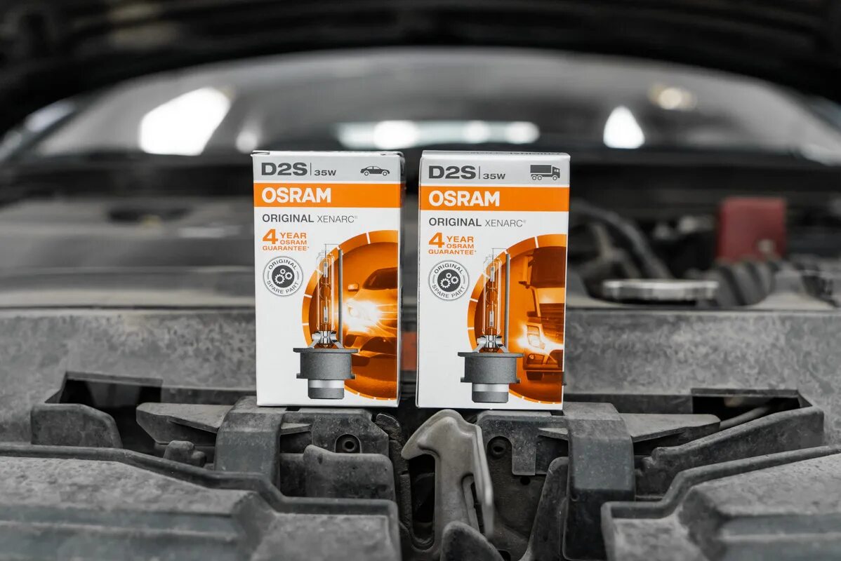 Mazda 6 gg фары лампочки ближнего. Лампа ближнего мазда 6 gh. Лампа ближнего света мазда 6 gg 2006. Лампа ближнего света мазда 6 gh 2008. Лампа ближнего света мазда 6 2005.