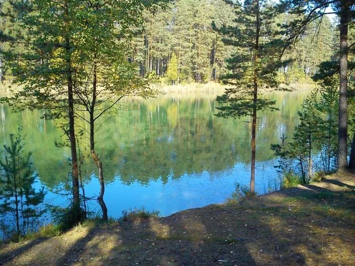 Озера под лугой. Озеро зеленое Лужский район. Шалово зеленое озеро. Зеленое озеро Луга Шалово. Луга Ленинградская область озеро зеленое.