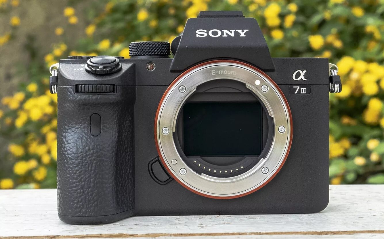 Sony a7 III. Sony Alpha a7s III. Sony Alpha 7s3. Фотоаппарат Sony Alpha 7 III. Alpha a7r v