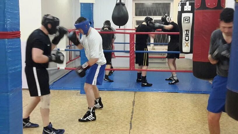 Метеор на ринге мультфильм другие. Метеор мультфильм 1970. Метеор на ринге матч реванш. Советский мультик метеор на ринге. Метеор бокс мультфильм.