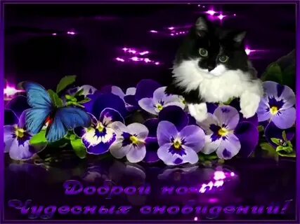 Мерцающие открытки с пожеланием доброго весеннего вечера