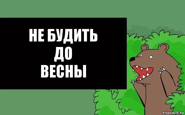 Вывыв. До весны не будить. Надпись до весны не будить. Не будить до весны табличка. Медведь не будить до весны.