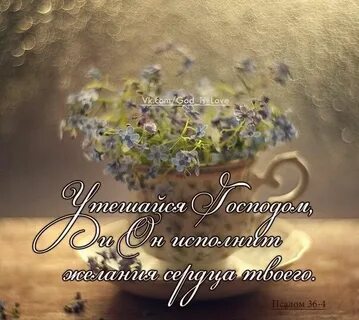 Доброго дня с цитатами из библии