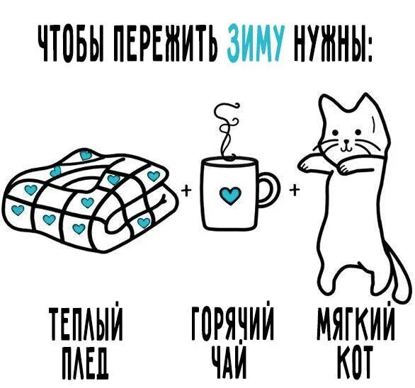 Как пережить эту зиму. Пережить зиму. как пережить зиму. кот социофоб. социофоб с манией величия суспензия.