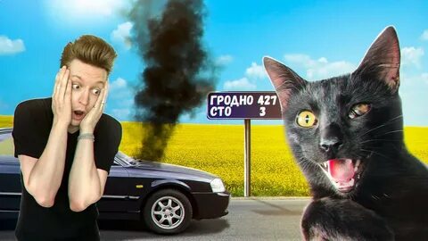 Канал сани