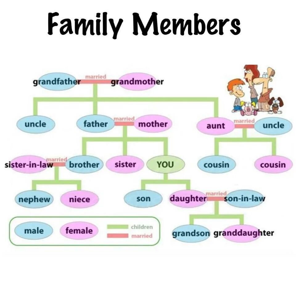Вокабуляр семья английский. Семья на английском языке. A member of the Family.