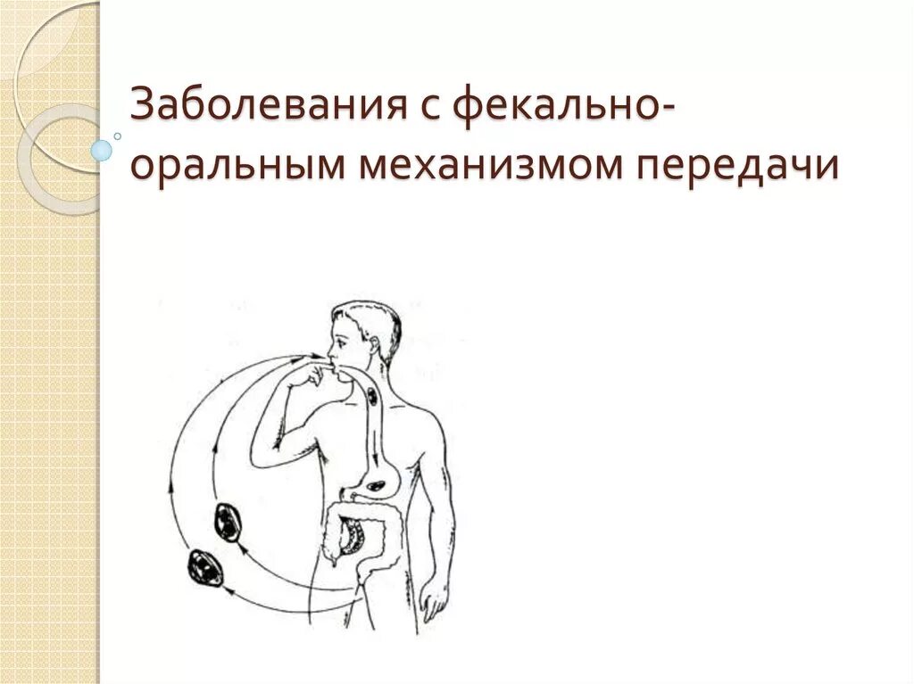 Заболевания через оральный. Фекально оральный путь передачи. Пути передачи фекально-орального механизма. Заболевание имеет фекально-оральный механизм передачи. Фекально-оральный механизм передачи инфекции характерен для.