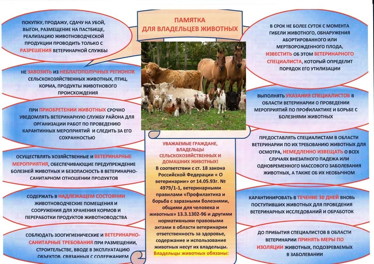 Ветеринарные правила утилизации. Нормы выпаса сельскохозяйственных животных. памятка о правилах содержания животных. памятка для владельцев крупного рогатого скота. памятка для владельцев животных.