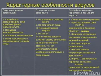 Бактерии и вирусы отличия