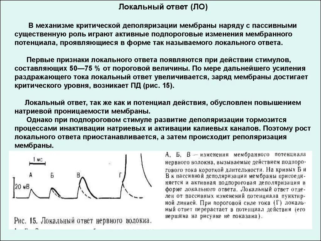 Критический уровень деполяризации нервного волокна. Локальный процесс физиология. Локальный ответ критический уровень деполяризации физиология. Критический уровень деполяризации мембраны.