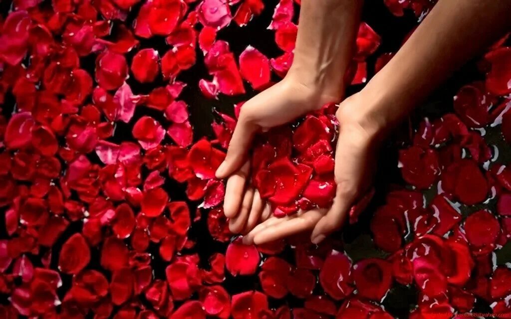 вершина горы. все мечты у твоих ног. счастливая девушка. весь мир у твоих ног. море солнце счастье.