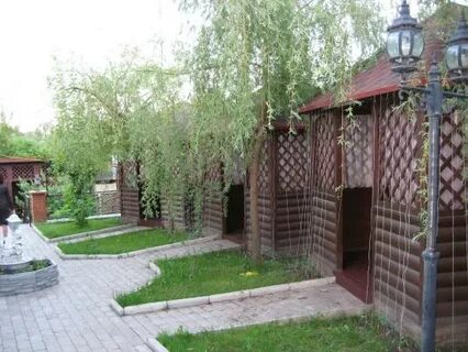 Дворик орел