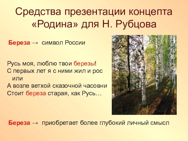 Н рубцов березы. Стихотворение Рубцова березы. Рубцов берёзы стих.