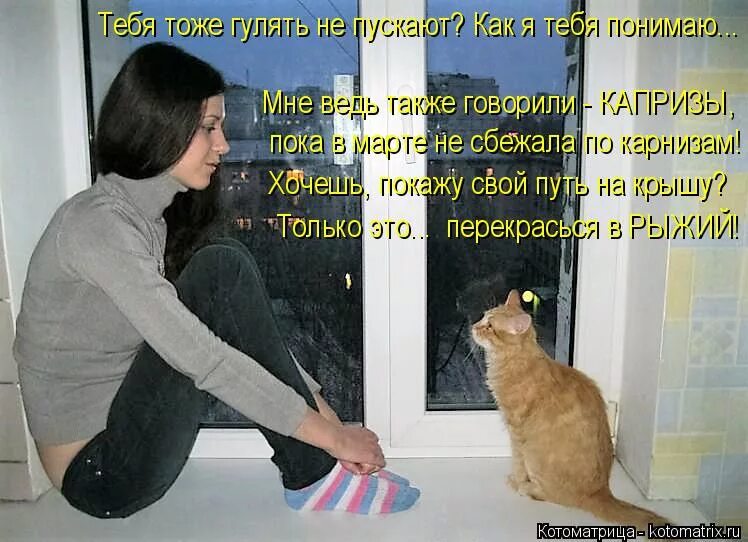 не уходи картинки. я тебя люблю не уходи. не уходи я точно знаю. не уходи картинки. приколы про котов и хозяев.