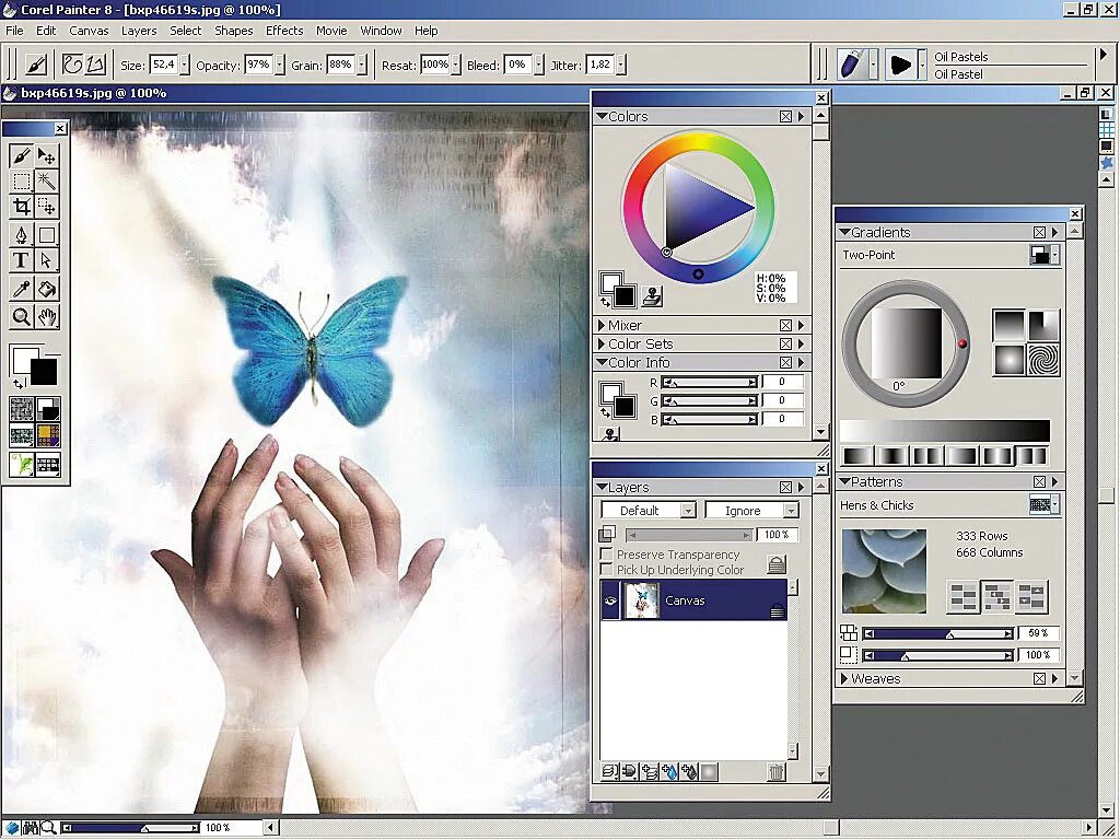 Графические программы корел. Painter графический редактор. Графические редакторы растровой графики. Векторные графические редакторы. Corel Painter графический редактор.