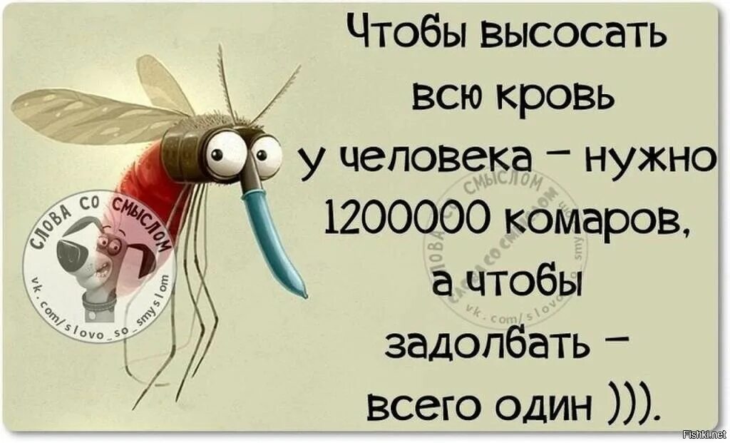 Том что ему нужно побыстрее. Бешеный комар. Комары прилетели. Картинки как все задолбало. Когда все задолбало картинки.