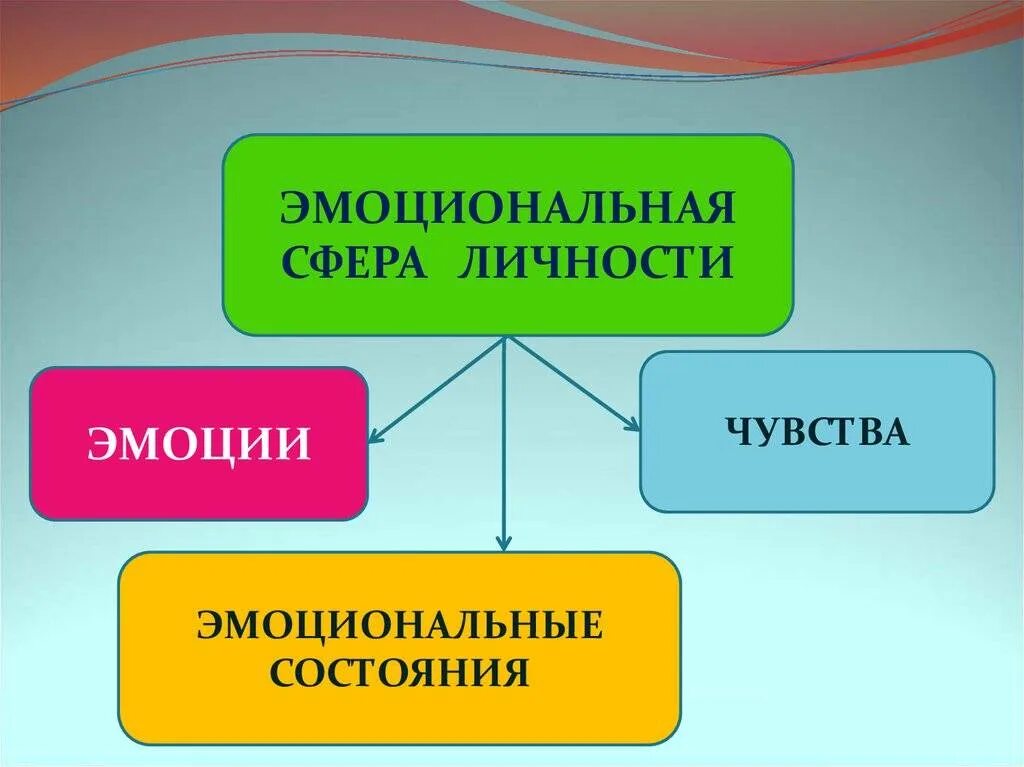 Компоненты эмоционального состояния. Эмоциональная сфера человека. Структура эмоциональной сферы человека. Эмоционально-личностная сфера это. Эмоциональная сфера человека психология.