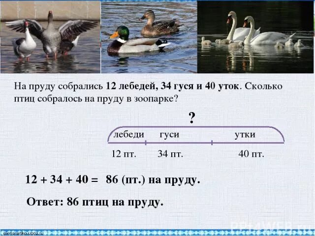 У хозяйки 8 уток гусей. У хозяйки 8 уток гусей