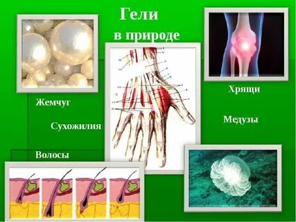 Биологическим гелем является хрящ воздух