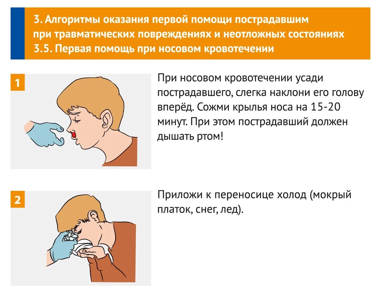 Холод при носовом кровотечении. Действия по оказанию первой помощи при носовом кровотечении. Алгоритм оказания первой помощи при травматических повреждениях. Первая помощь пострадавшему с носовым кровотечением. Оказание помощи при кровотечении из носа.