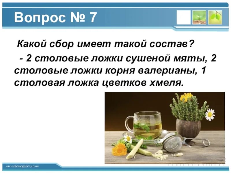 Какой сбор взимается. Чай для презентации. сбор какой. столовую ложку сухого чая. ложка- ложечка какой корень.