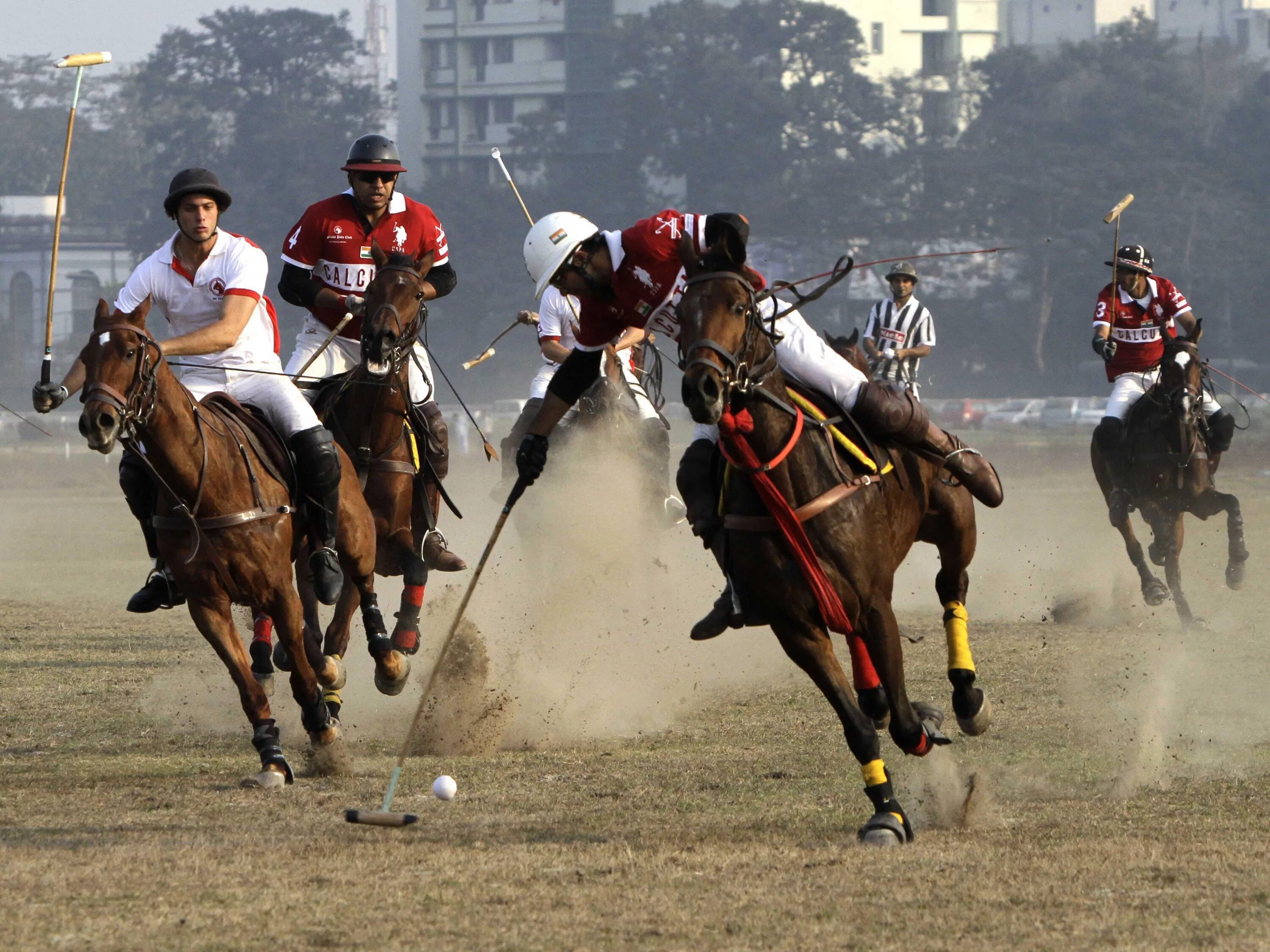 Sports horse. Конное поло Англия. Великобританское Конное поло. Поло на лошадях. Поло вид спорта.