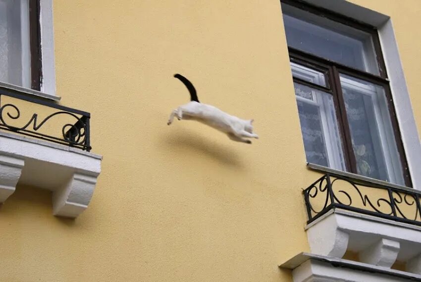 Кот туда сюда. Смешные картинки с котом с комментариями. Кот туда сюда. Приколы с кошками с комментариями. Фото вон там.