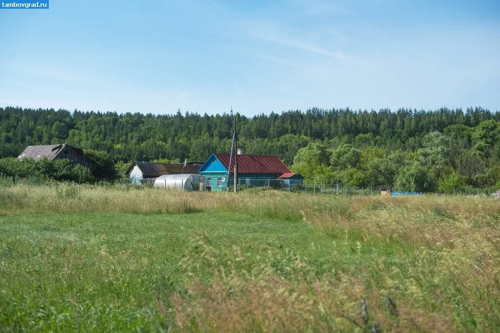 Никольское знаменский район. Знаменский район Тамбовская область. Село Никольское Тамбовской области. Село Никольское Нуримановский район. Никольское село Тамбов.