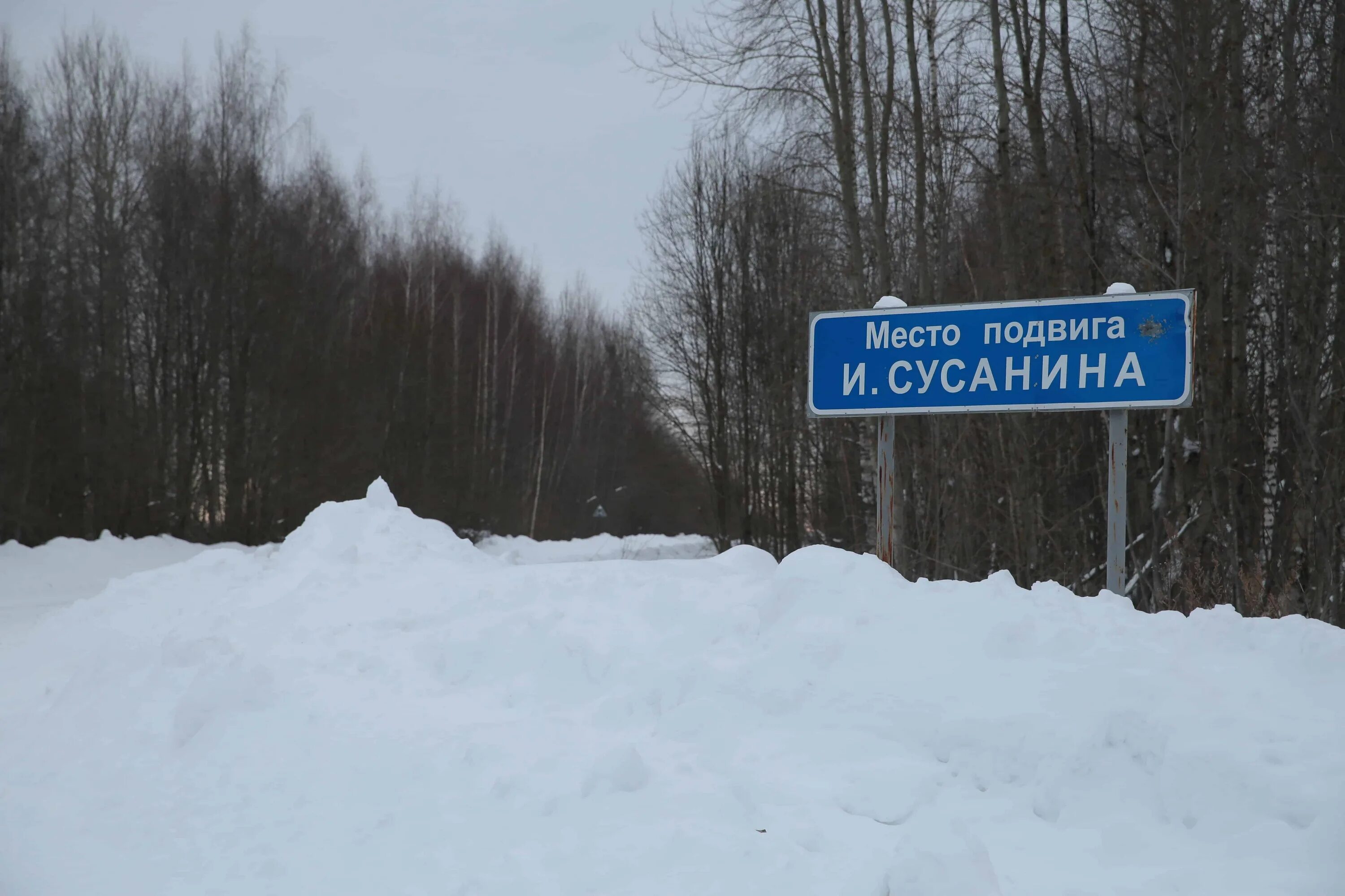 Где находится сусанина. Место подвига ивана сусанина. место подвига сусанина. место гибели сусанина.